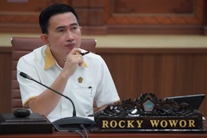 Ketua Pansus