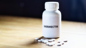 ivermectin