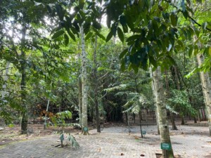 Hutan Kenangan1