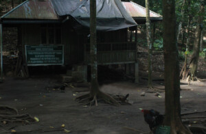Hutan Kenangan2