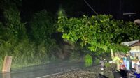 IMG-20211207-WA0020