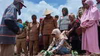 Foto Adve Tanaman Holtikultura 3