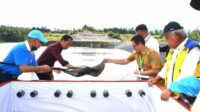 Jokowi dan JG Lepas Ikan di Bendungan