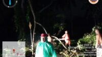 IMG-20230408-WA0003