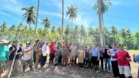 Bupati Minahasa Selatan Franky Donny Wongkar, SH., menghadiri kegiatan Penanaman Jagung Jemaat GMIM Efrata Rap-Rap, Selasa, 25 Juli 2023.