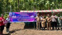 Bupati Minahasa Selatan Franky Donny Wongkar, SH., menghadiri kegiatan Penanaman Jagung Jemaat GMIM Efrata Rap-Rap, Selasa, 25 Juli 2023.