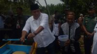 Foto Bupati sedang melakukan Ritual Tabongo (ritual Adat setempat)