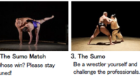 Part2.%20THE%20SUMO%20ENTERTAINMENT-to%20know%2C%20to%20See%2C%20to%20Experience%20Sumo.png