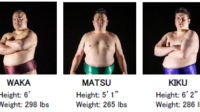 Performers%20are%20Former%20Professional%20Sumo%20Wrestlers.png