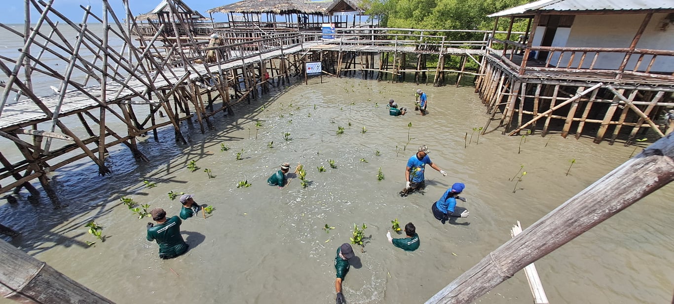 Lokasi penanaman bibit-bibit mangrove PT Orico Balimor Finance.