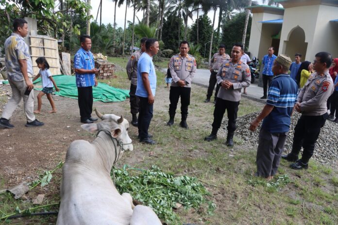 Kapolres Kotamobagu AKBP Irwanto SIK MH Salurkan Hewan Kurban kepada Masyarakat Desa Sia’ dan Desa Bombanon