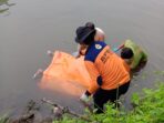 Petugas Polsek Sumurpanggang mengevakuasi jasad Tobiin alias Glopot (66) dari Kali Kemiri, Kelurahan Margadana, Kota Tegal, Minggu, 16 November 2025. Foto: Agung/TN