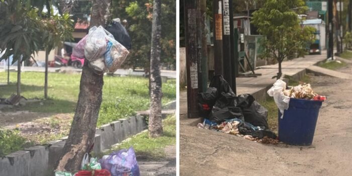 WhatsApp Image 2026-02-18 at 18.18.54