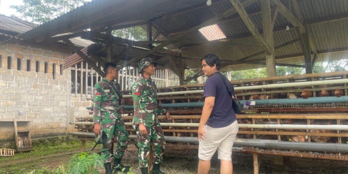 WhatsApp Image 2026-03-01 at 21.10.12